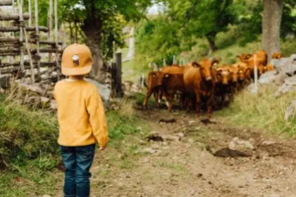 Tiere versorgen auf dem Bauernhof in Schweden beim Familienurlaub