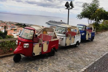 Tuk tuk Tour in Madeira