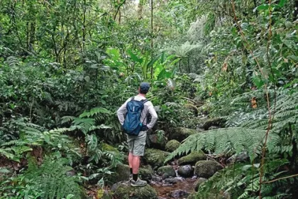 Hike in Santa Elena