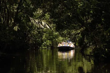  Bootstour auf dem Río San Carlos.