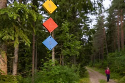 auf einem Wanderweg hinuntergehen.