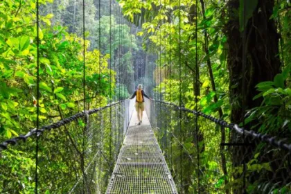 Mistico Hängebrücken in Costa Rica.