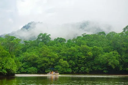 Safari-Bootstour aud dem Rio San Carlos.