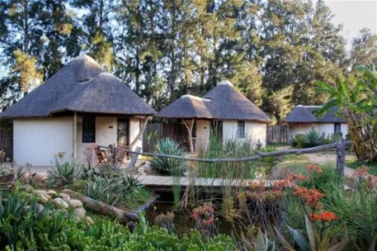 Lodge im Addo.