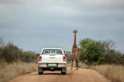 Südafrika Safari Akitvitäten.