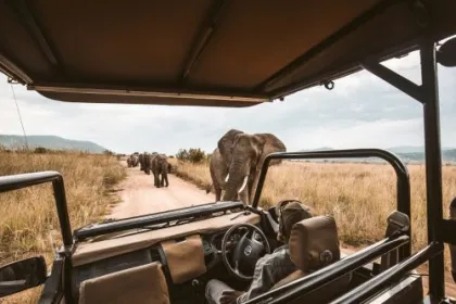 Südafrika Safari Akitvitäten.