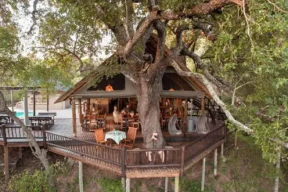 Luxury Safari Lodge.