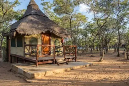 Safari Lodge im Entabeni Reservat.