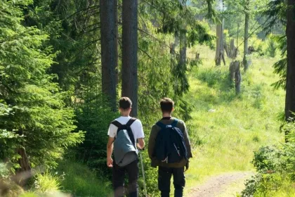Transsilvanien Reise - Spazieren durch Hügellandschaften.