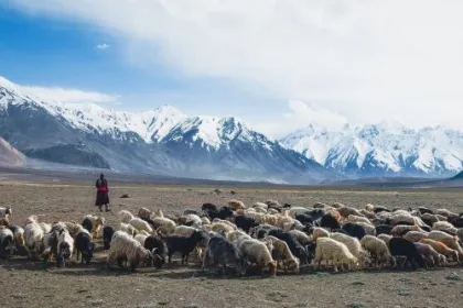 Ladakh und Nordostindien.