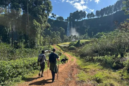 Uganda Urlaub - Wanderung.