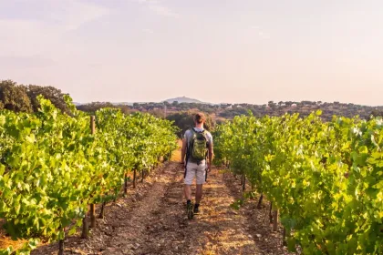 Alentejo Rundreise - Weinverkostung.