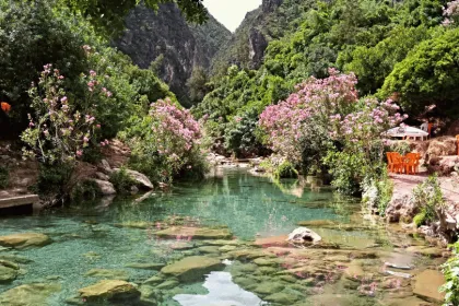 Trinkt nach der Wanderung Minztee am Fluss.