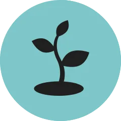 Fair Reisen Kompass Natur 5.