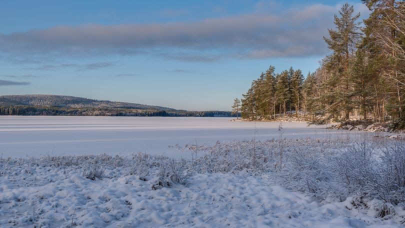 Zweden reis in de winter met sneeuw
