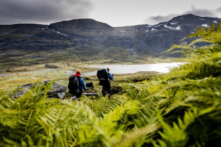Zweden wandelen door Lapland