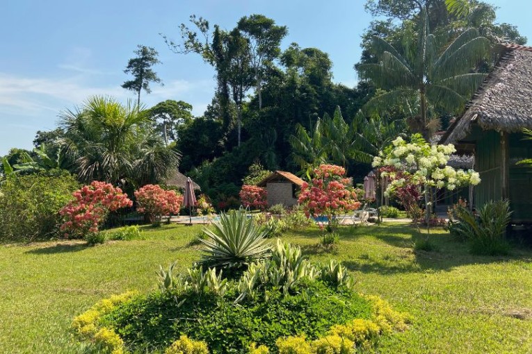 Entdecke den botanischen Garten der peruanischen Lodge
