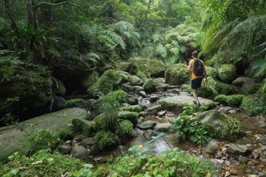 Familienreise Costa Rica
