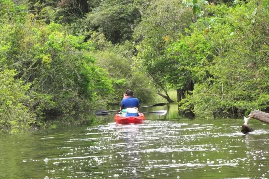 Bei Ihrer Suriname Rundreise fahren Sie Kayak