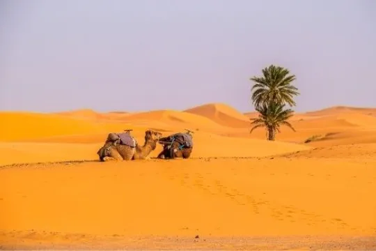 Mietwagenreise durch Marokkos Süden
