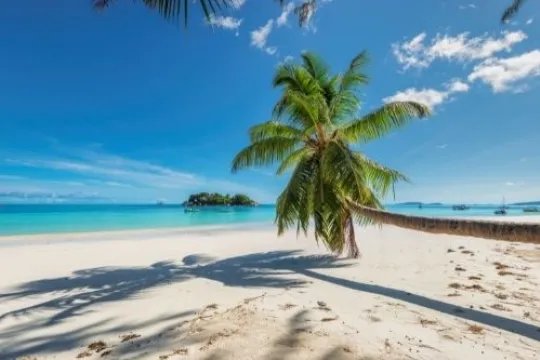 Ein Strand in jamaika
