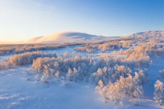 Bewundere die Winterlandschaft in Schweden