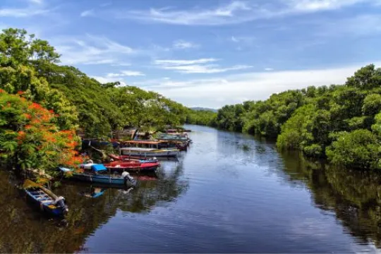 Flussfahrt während der Rundreise durch Jamaika