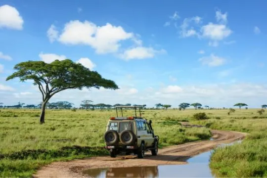 Erlebe die Weiten der Nationalparks auf deiner Südafrika Safari Tour