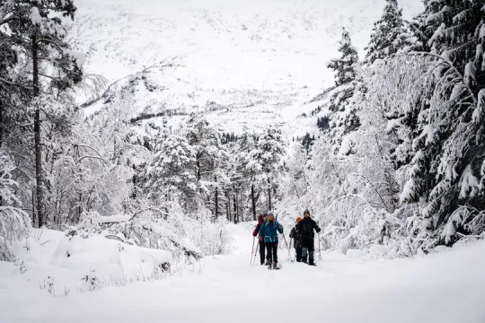 Schnee wandern Norwegen