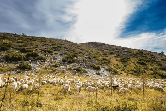 Mavrovo Nordmazedonien