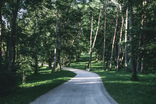 Wanderweg in einem Urwald im Baltikum. 