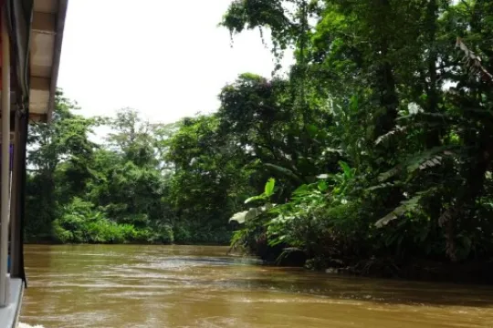 Tropischer Fluss.