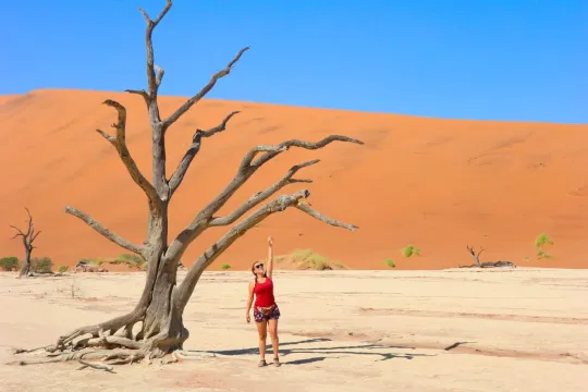EIn person steht mitten der Wüste neben ein Baum ohne Blätter.