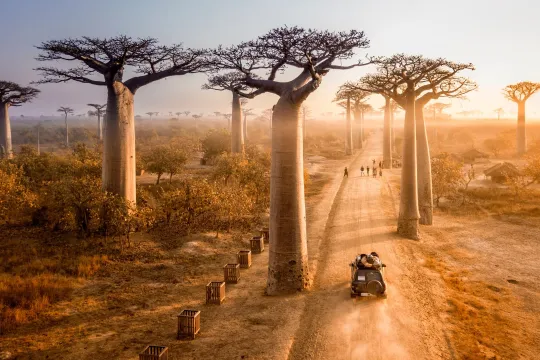 Individualreise Madagaskar.