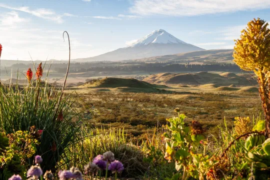 Individualreise Ecuador.