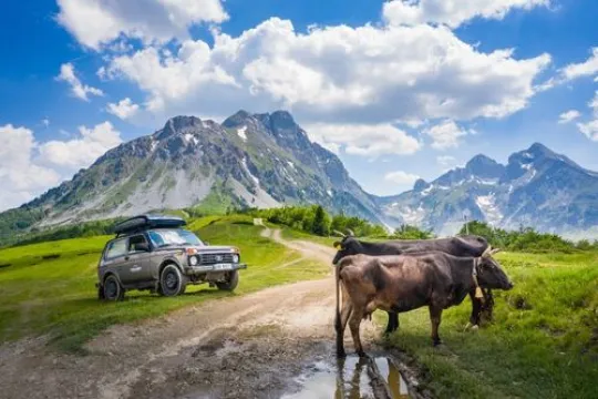 Ein Geländewagen trifft auf Kühe vor beeindruckender Bergkulisse, Komovi.