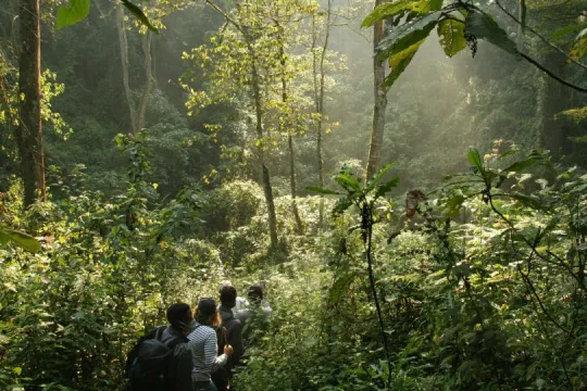Aktiver Uganda Urlaub.