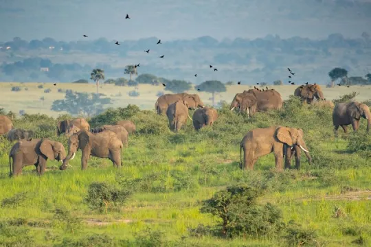 Nachhaltige Uganda Reise.