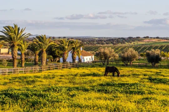 Alentejo Rundreise - Horizontal.