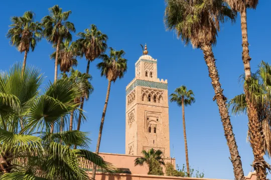 Der Turm der Koutoubia Moschee in Marrakesch zwischen hohen Palmen.